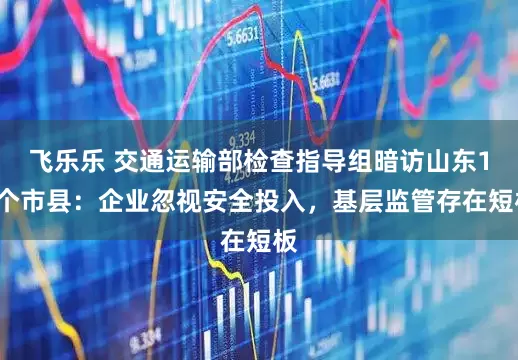 飞乐乐 交通运输部检查指导组暗访山东14个市县：企业忽视安全投入，基层监管存在短板