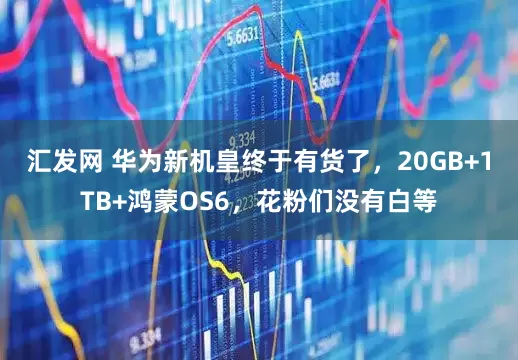 汇发网 华为新机皇终于有货了，20GB+1TB+鸿蒙OS6，花粉们没有白等